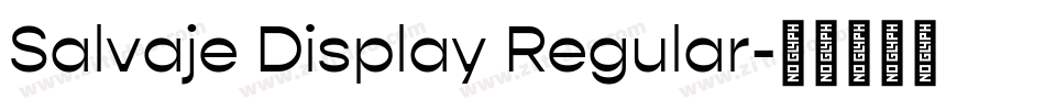 Salvaje Display Regular字体转换